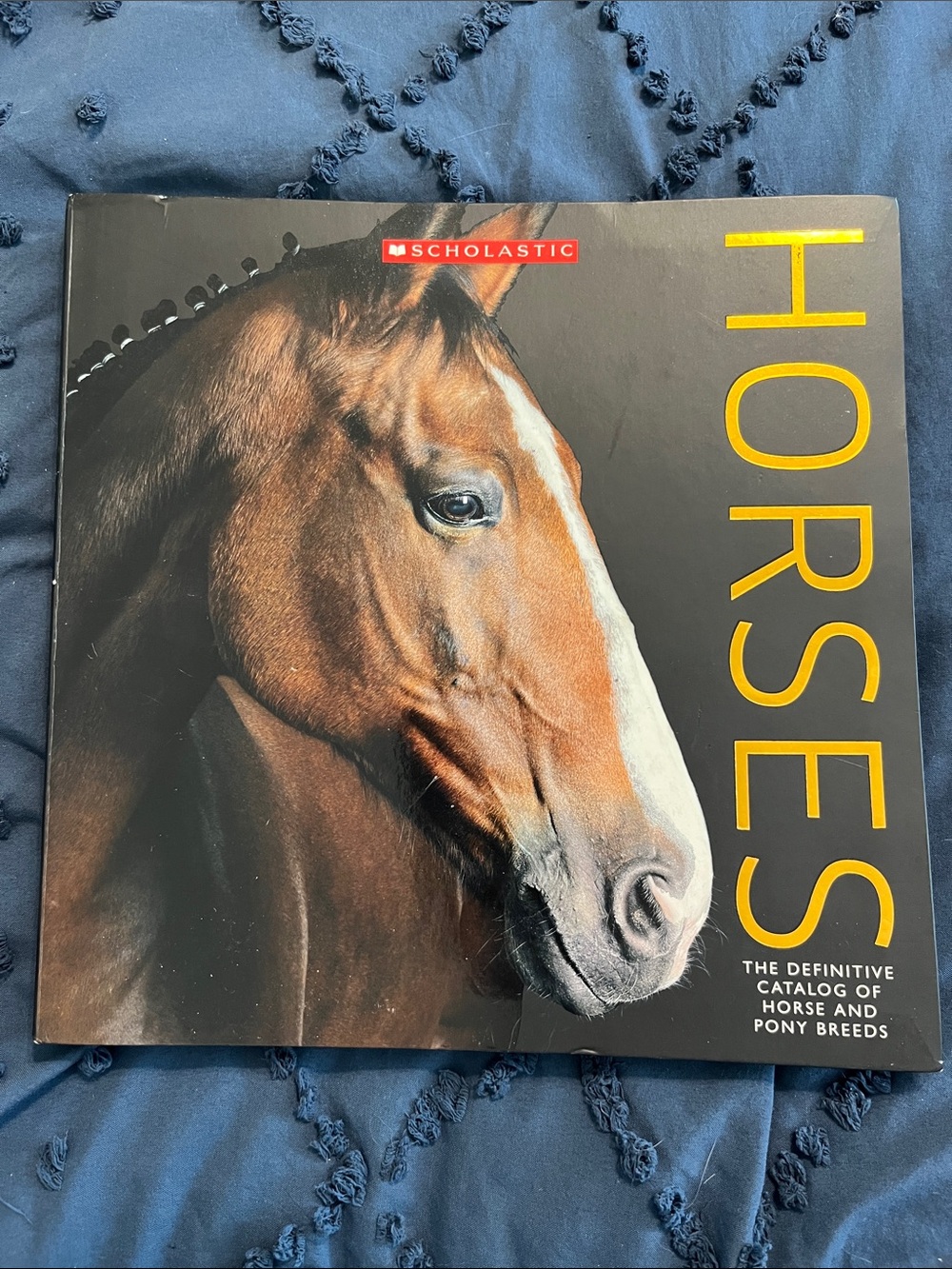 Scholastic Horses
